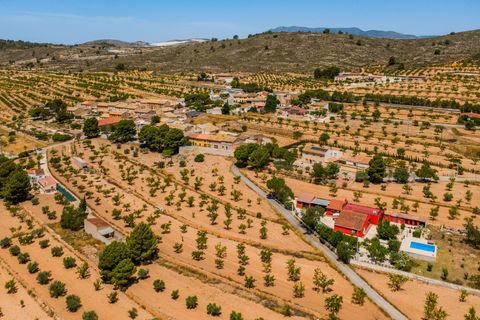 Villa i Pinoso, Alicante, Pinoso - € 274.999 | Ref: CCP848 - foto 33